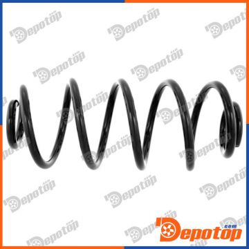 Ressorts de suspension arrière pour RENAULT | 4272919, 4272939